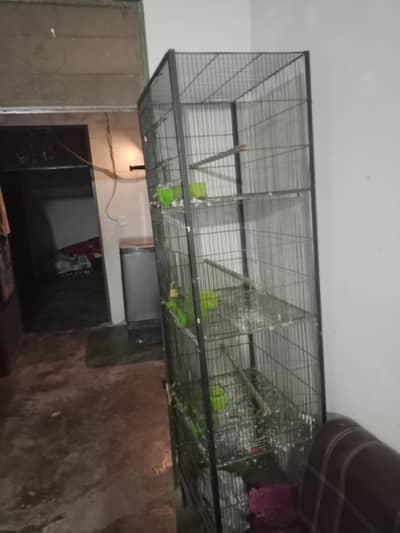 bird cages