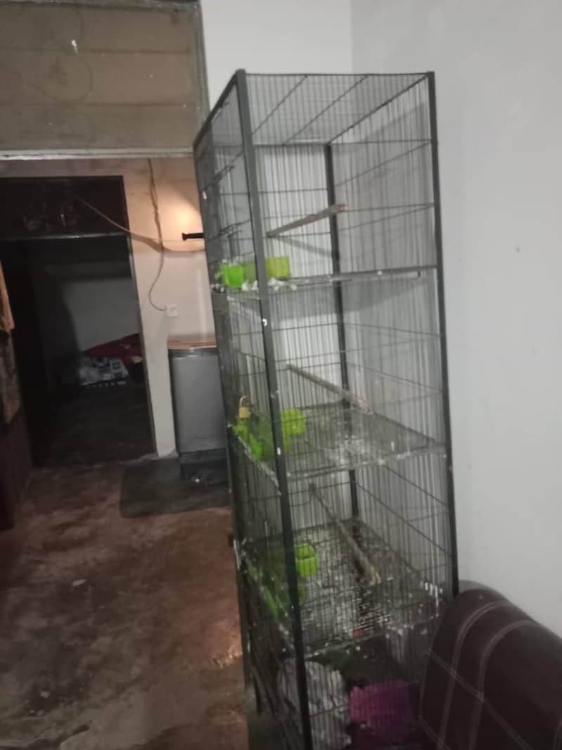 bird cages 0