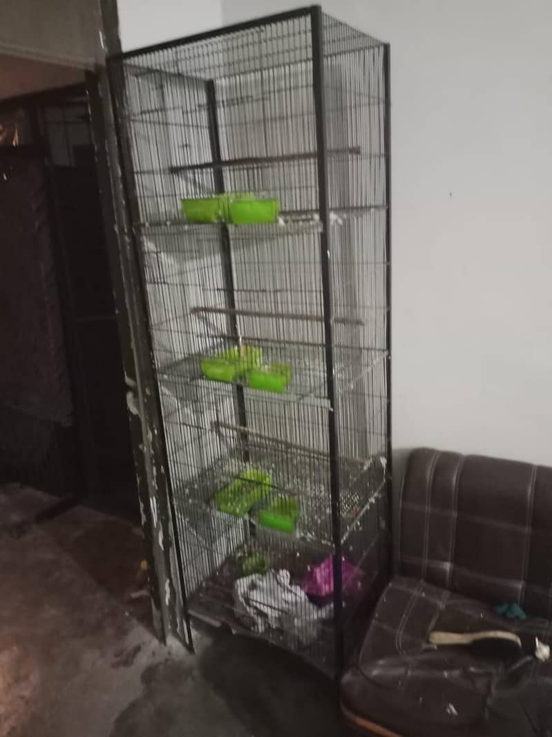bird cages 1