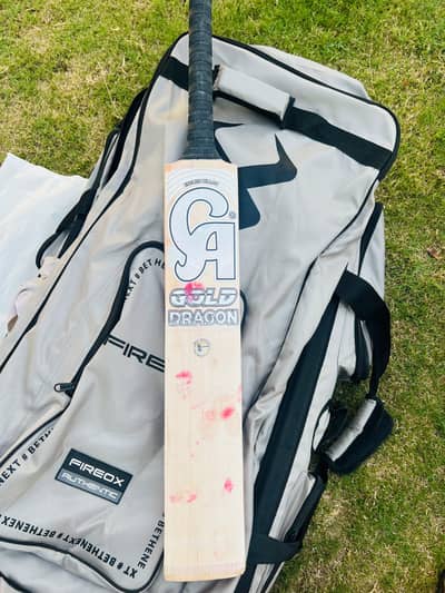 hard ball cricket bat