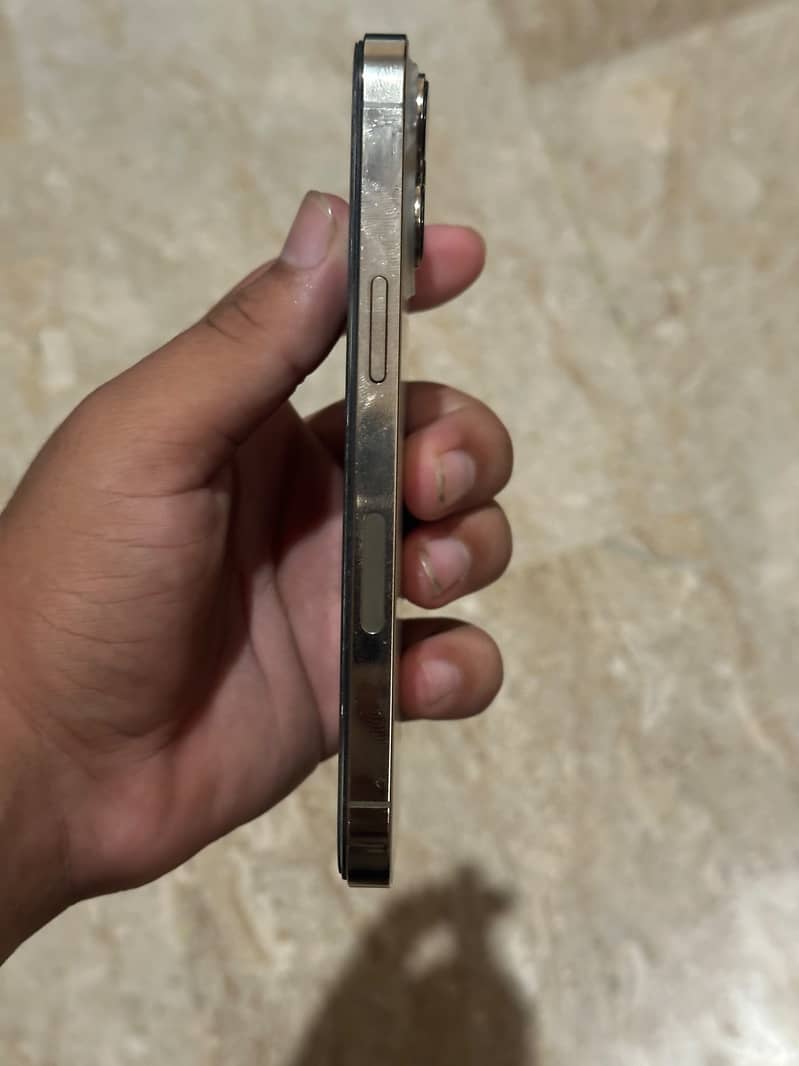 Apple iPhone 13 Pro 6