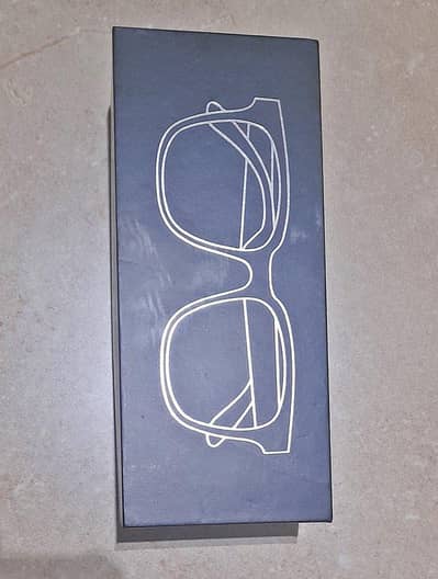 smart glasses