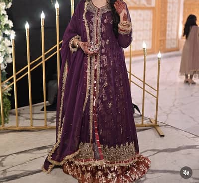 Wedding wear/Party wear