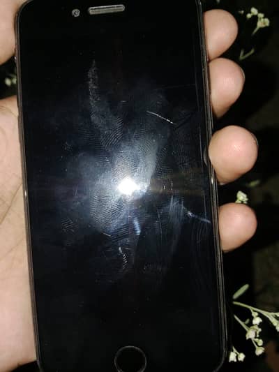 Apple iPhone SE 3  jv