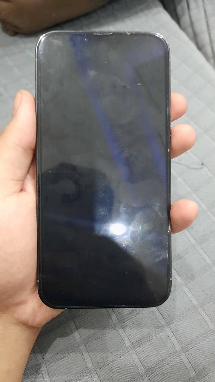 Apple iPhone 13 Pro Max 2