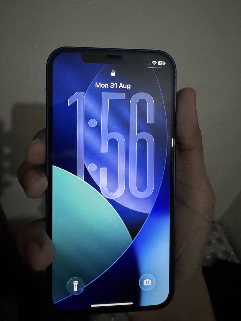 Apple iPhone 12 1
