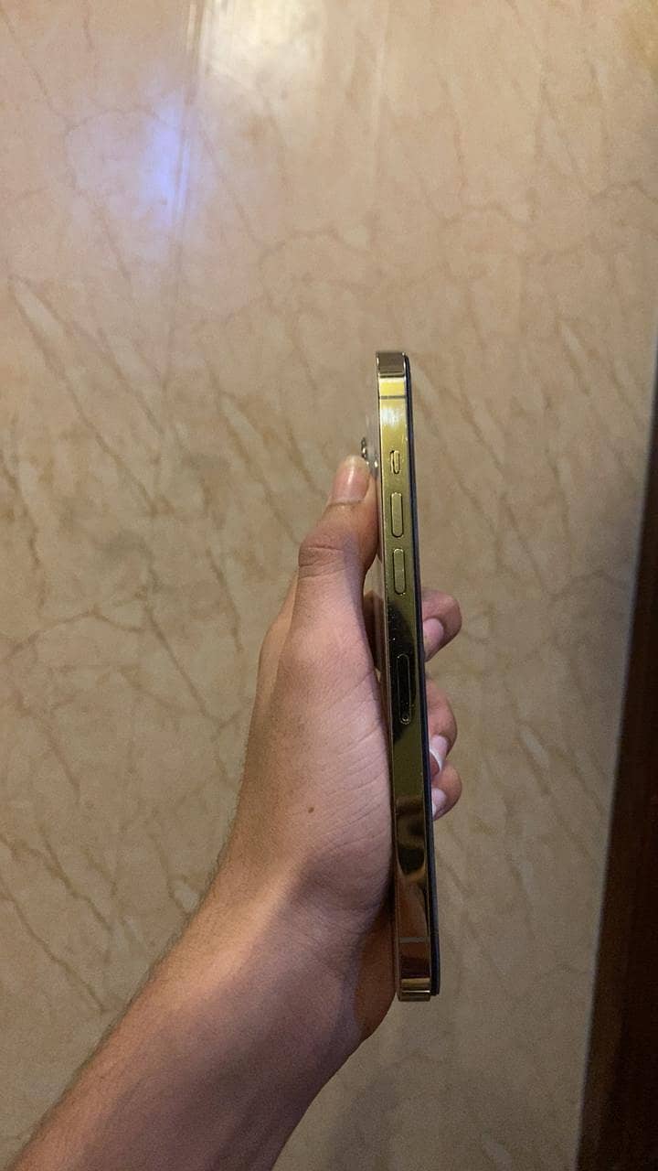 Apple iPhone 12 Pro Max 6