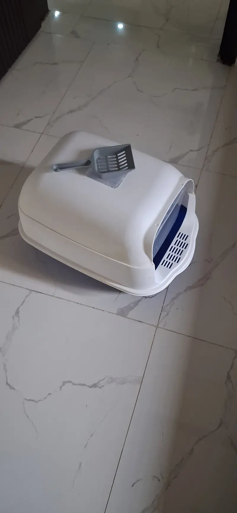 Covered Litter Box for Cats