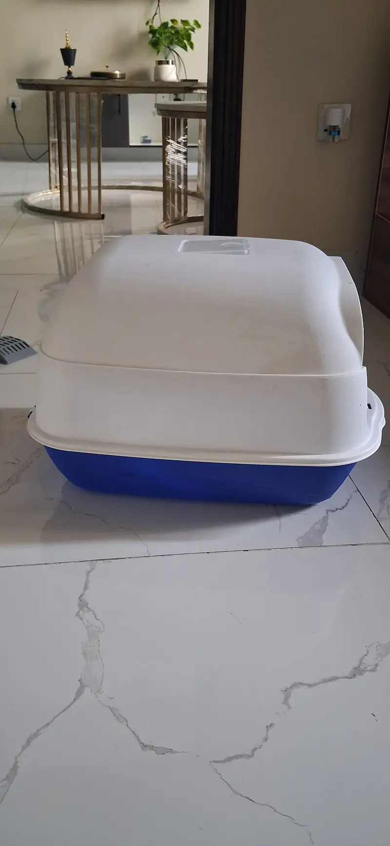 Covered Litter Box for Cats — photo 3