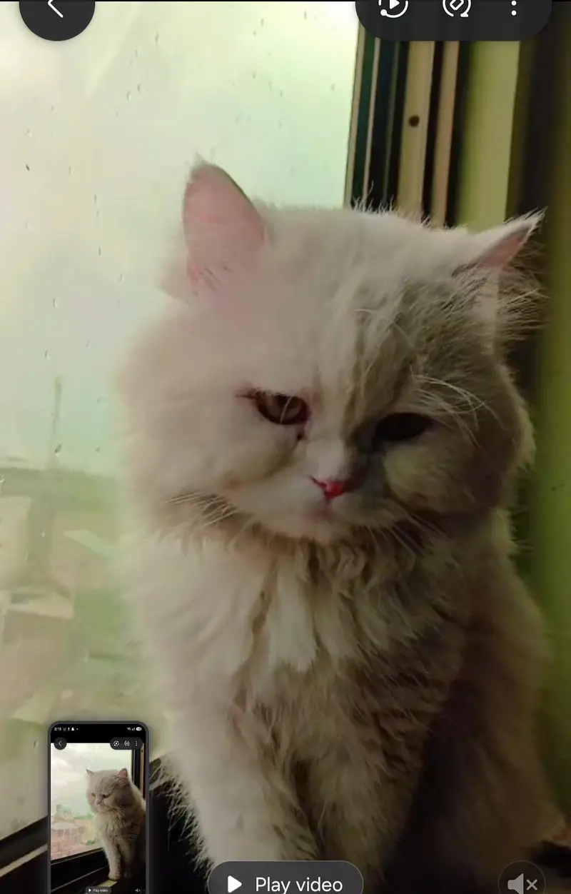 Name jack very loving and cute — photo 3