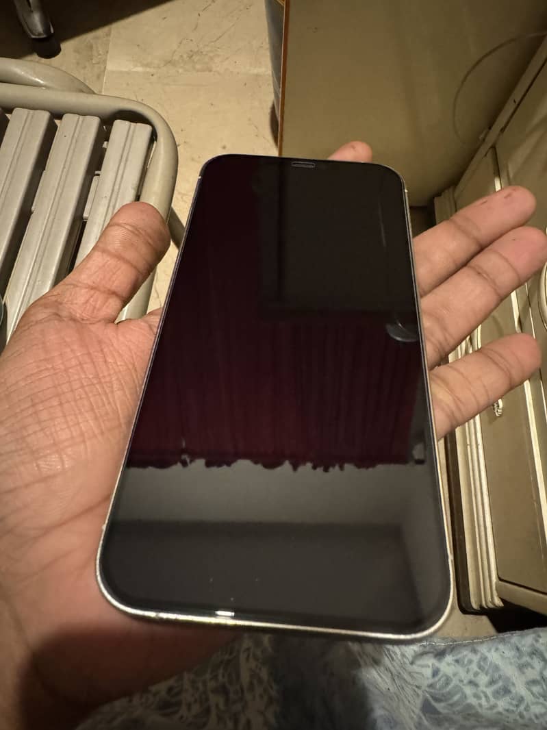 Apple iPhone 12 Pro Max 3