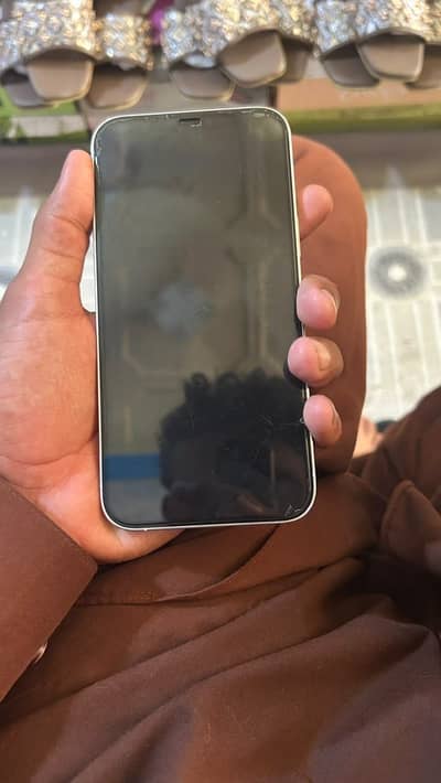 Apple iPhone 12 Pro Max