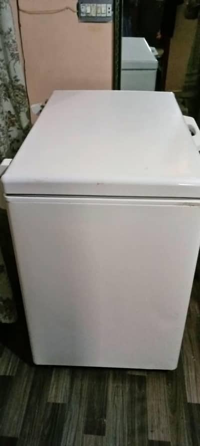 pel single door depp freezer