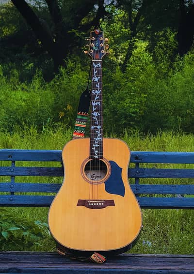 G-Grade visiono American series semi acoustic guitar | Fishman kit
