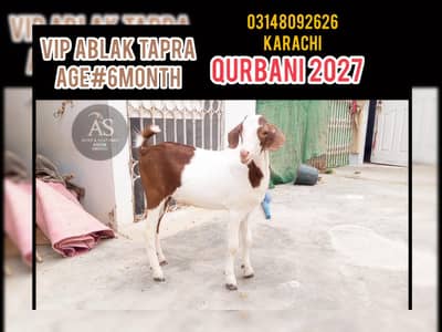 ablak tapra munda