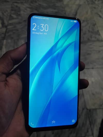 Vivo V15 8/256