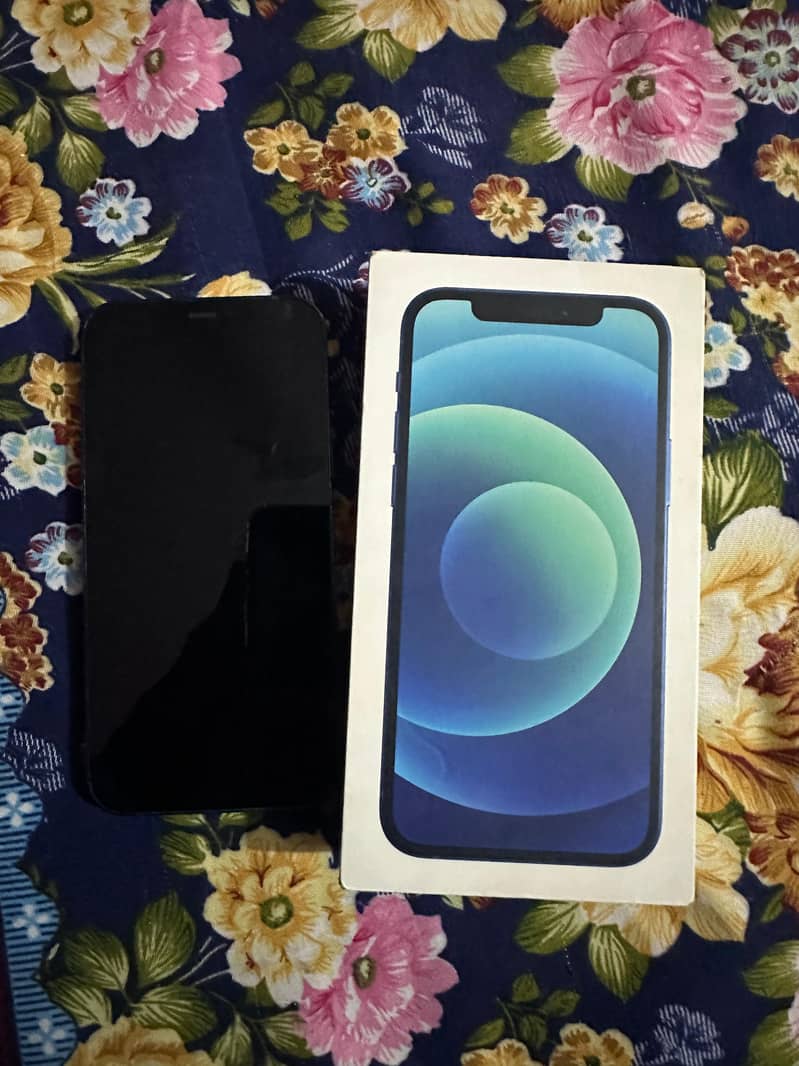 Apple iPhone 12 0