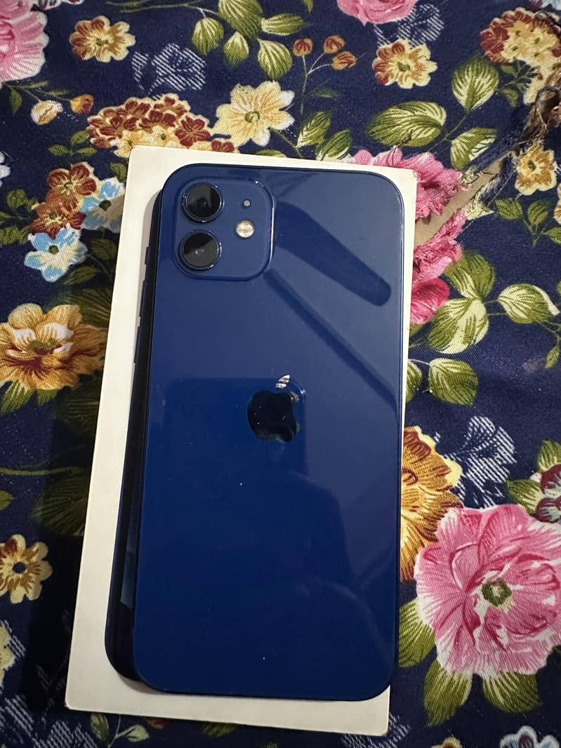 Apple iPhone 12 1
