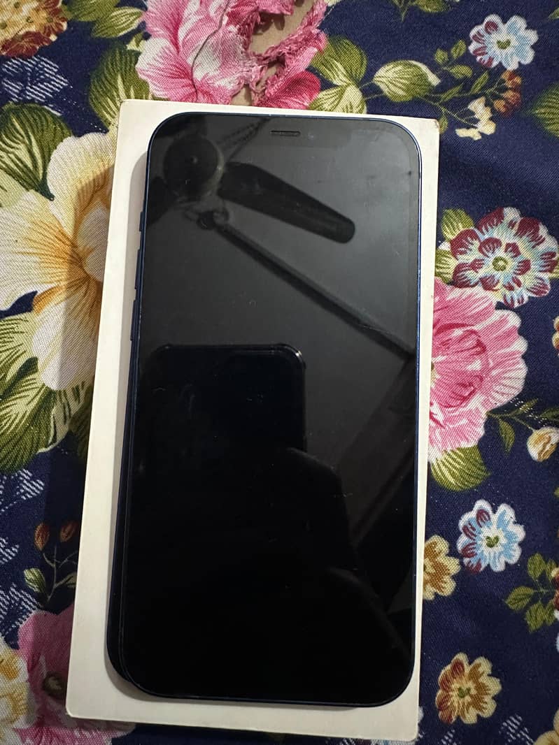 Apple iPhone 12 2