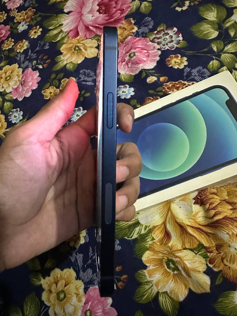 Apple iPhone 12 3