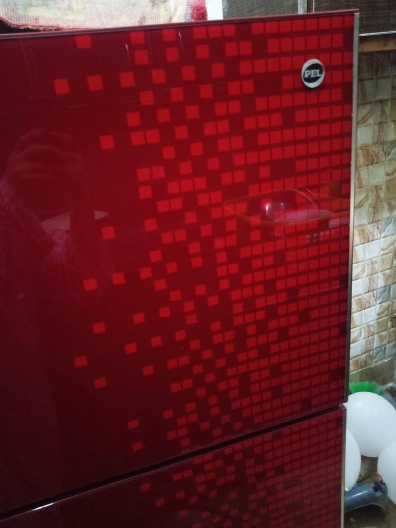 Pel fridge 1