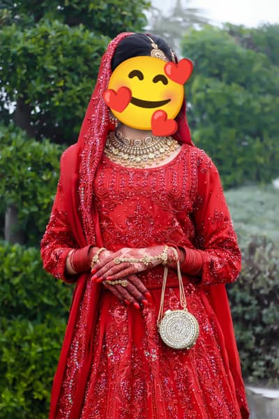 Red Bridal Lehenga / Heavy Embroidered Bridal Dress