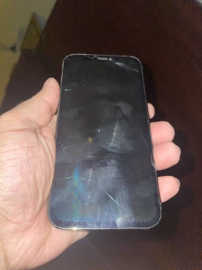 Apple iPhone 12 Pro
