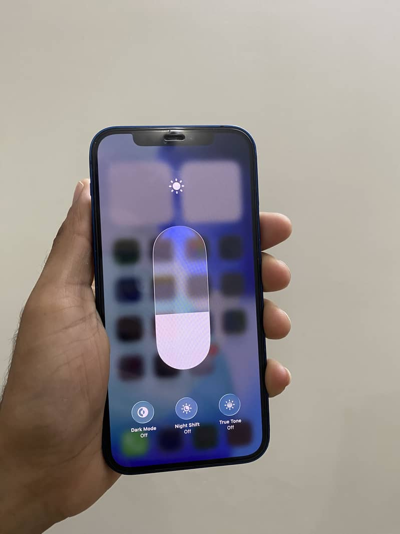 Apple iPhone 12 1