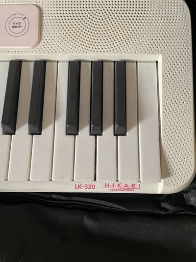 Japanese Casio Piano