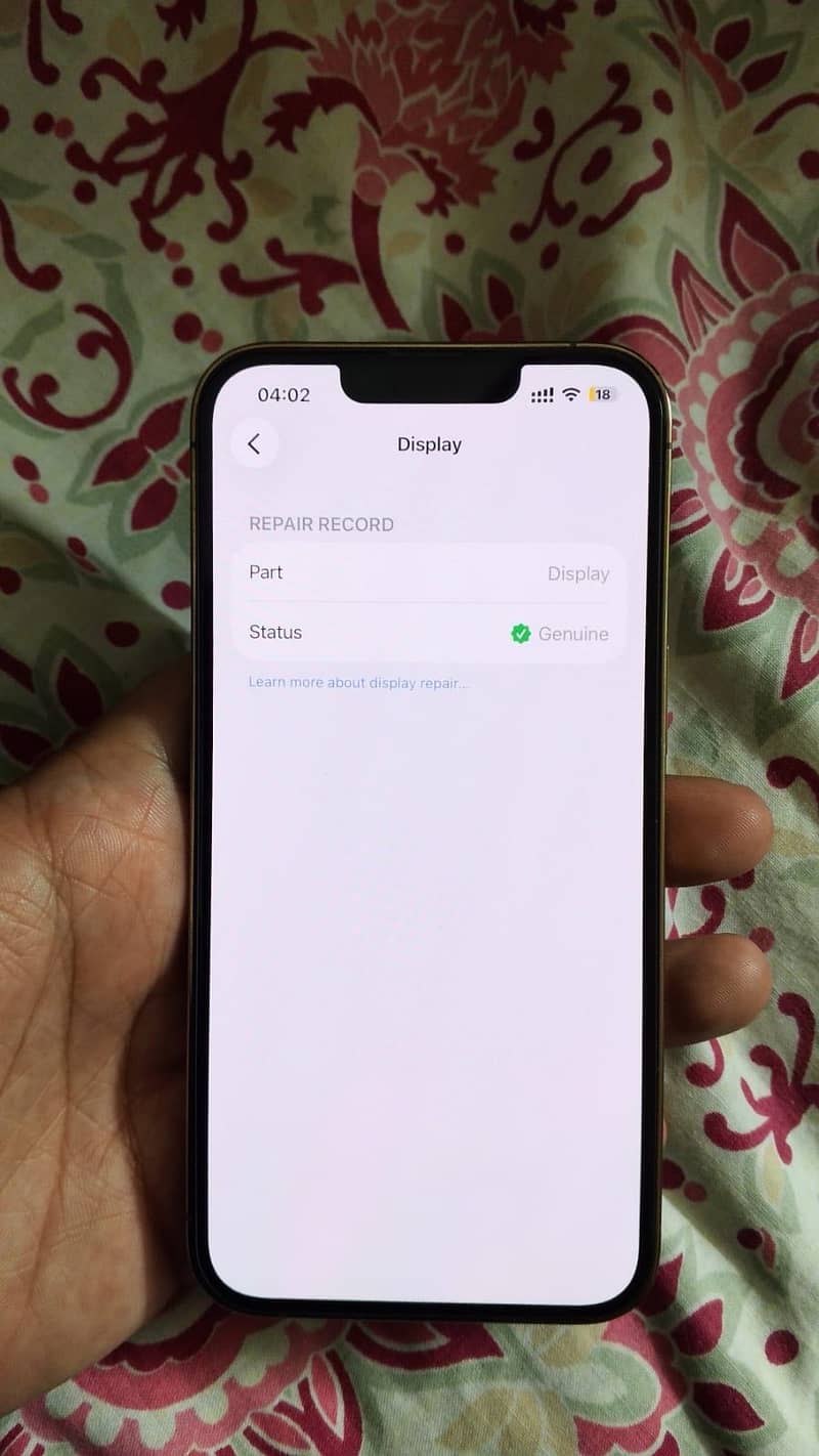 Apple iPhone 13 Pro 1