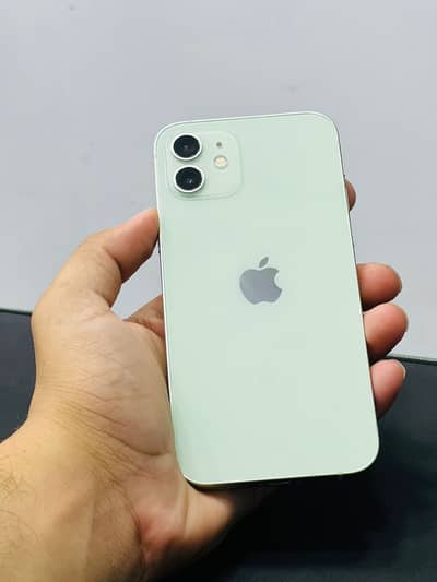 Iphone 13 256gb pta approved