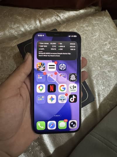 Apple iPhone 12 Pro Max
