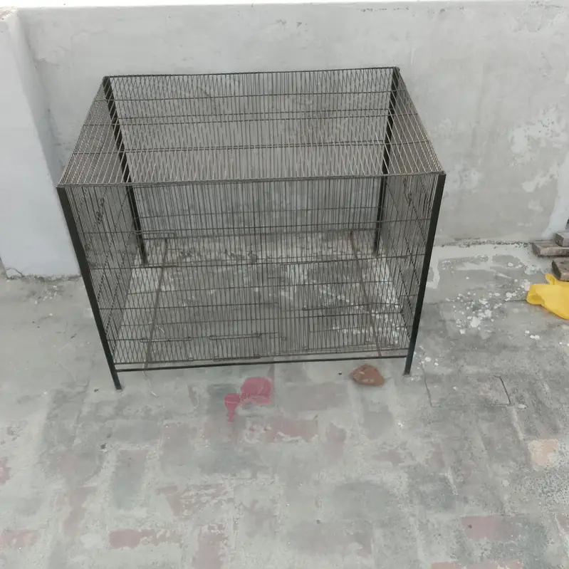 Phone number 03341174327 — photo 3