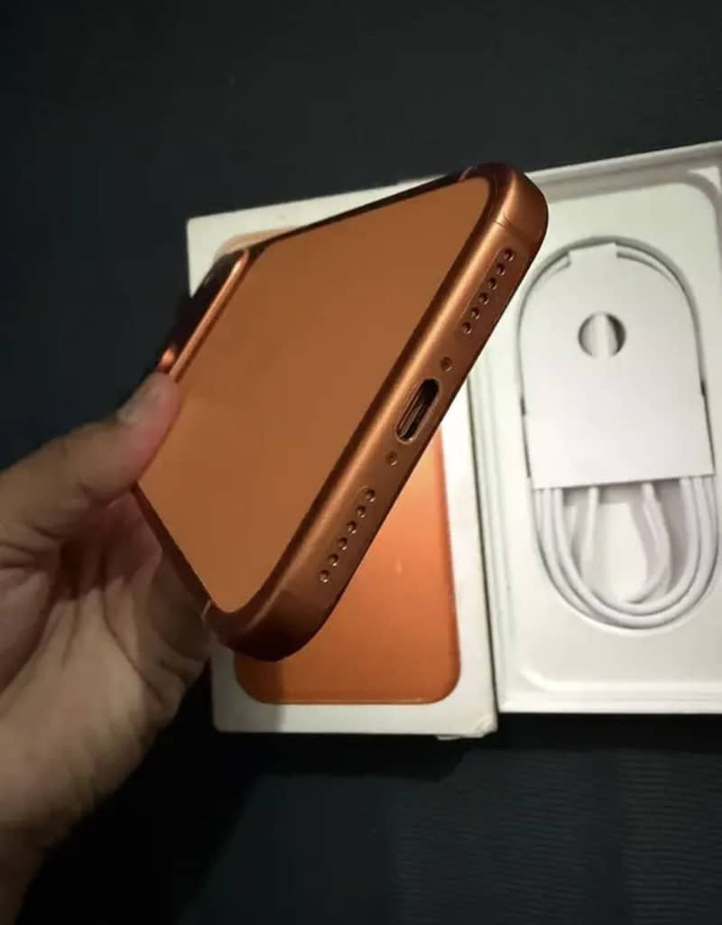 Apple iPhone 17 Pro Max 1
