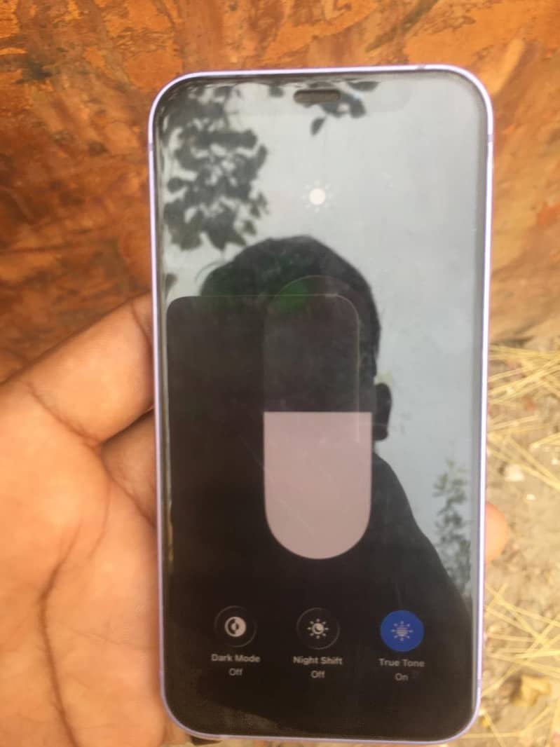 Apple iPhone 12 mini 1