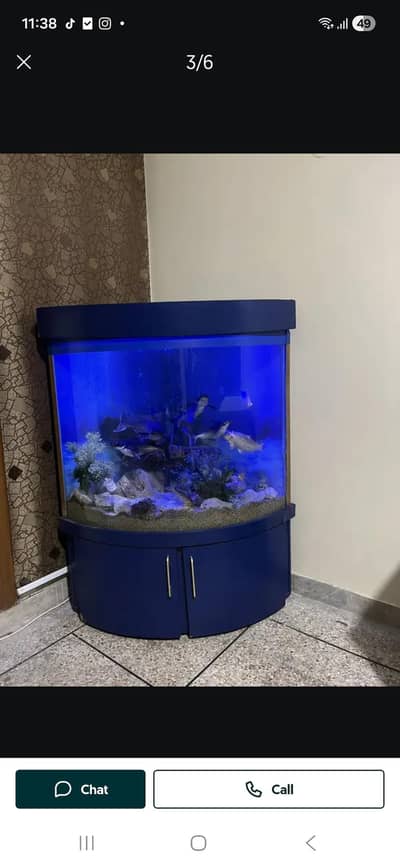 Fish aquarium with fishes