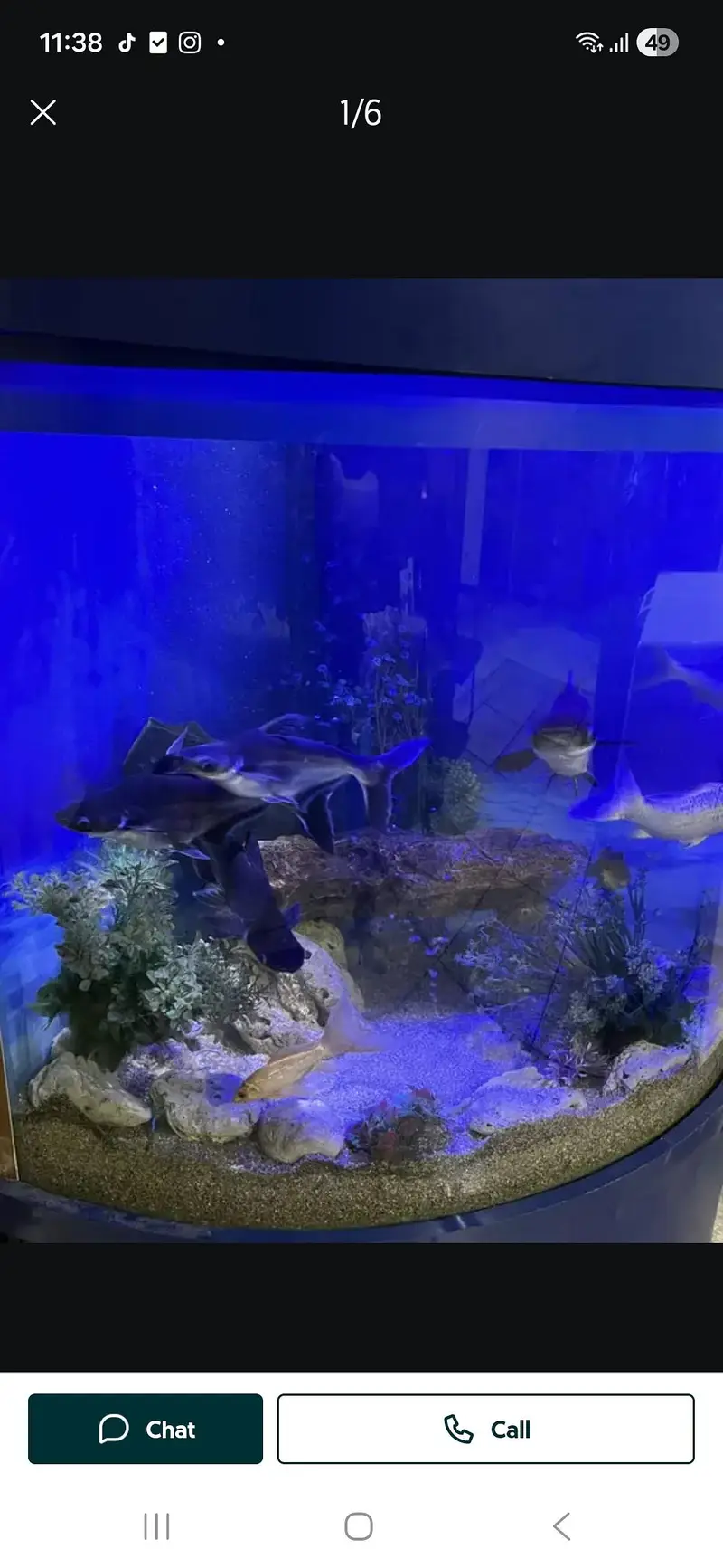 Fish aquarium with fishes — photo 3