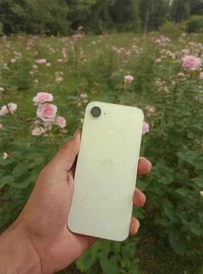 Apple iPhone 16e