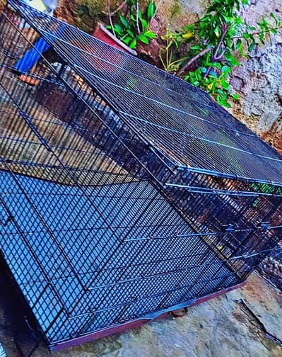birds Cage for sale large size