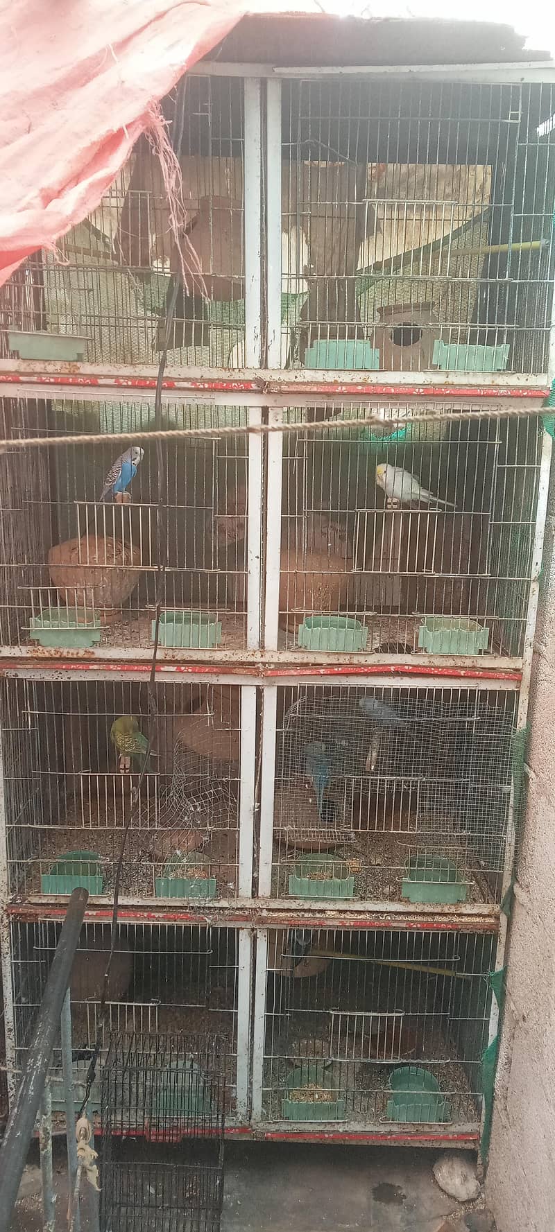 Cages 0
