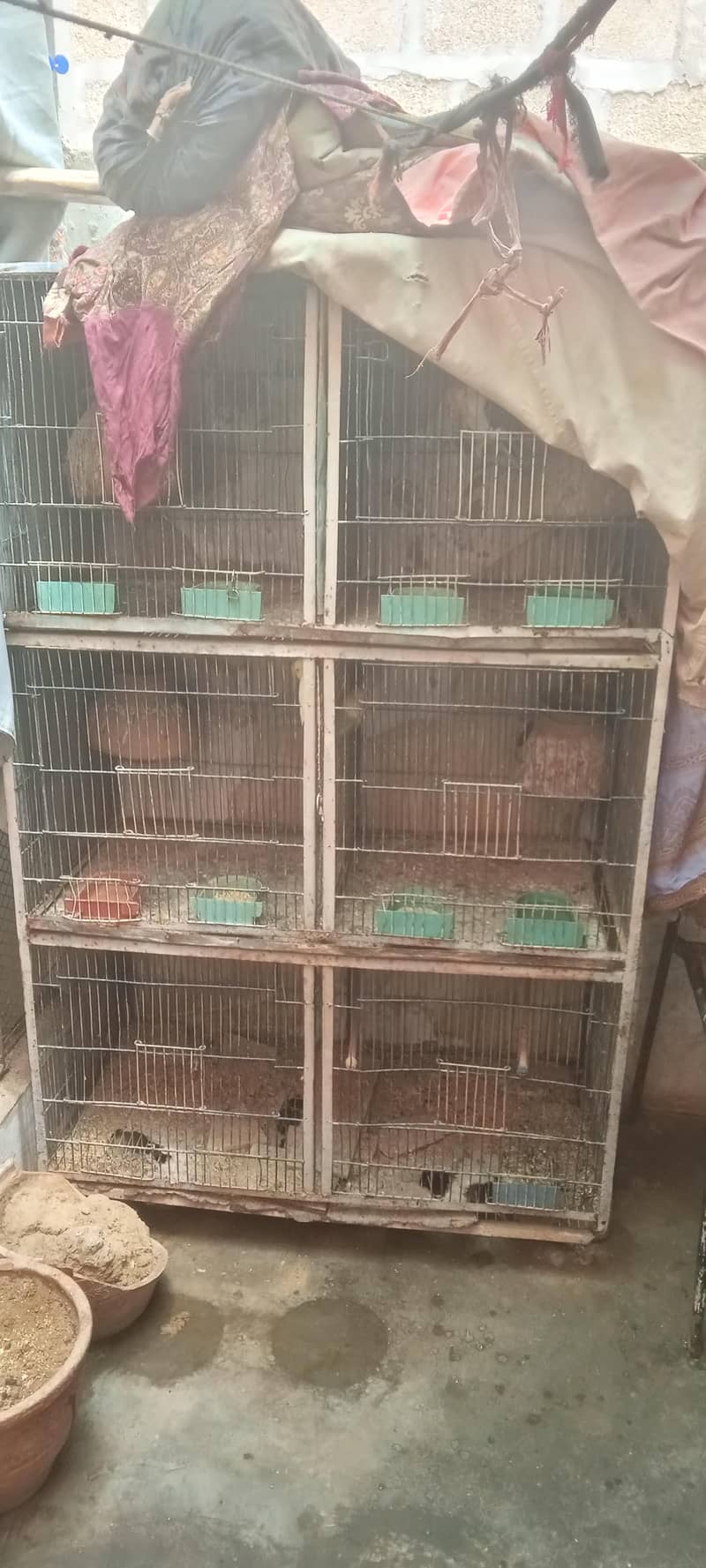 Cages 1
