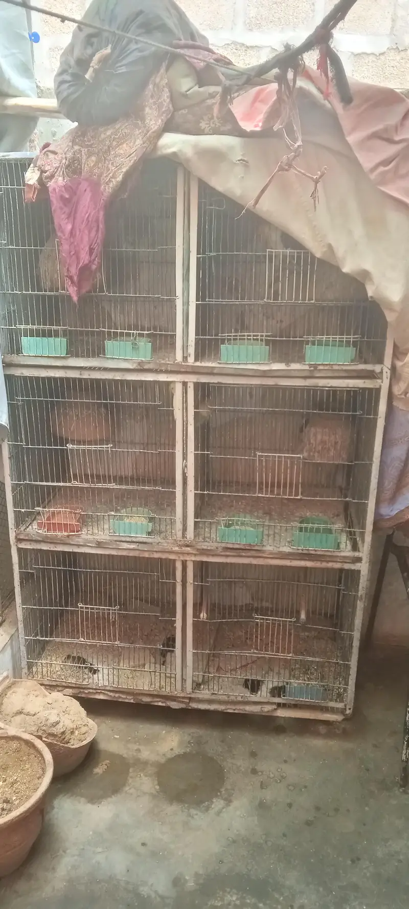 Cages — photo 2