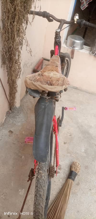 best Cycle