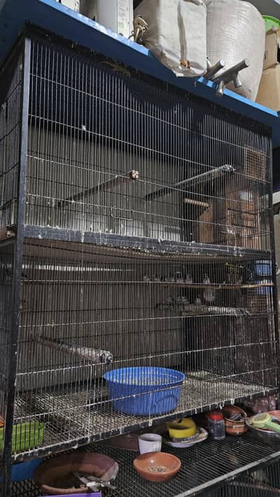 Cages