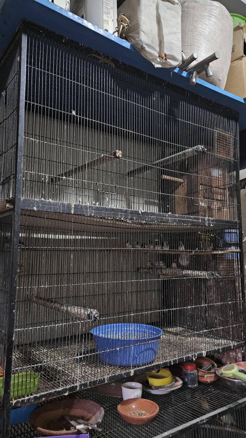 Cages 0