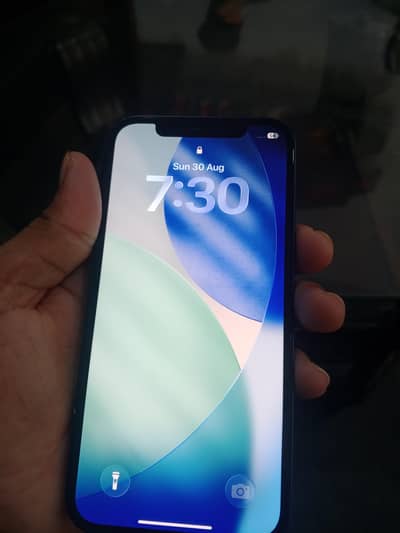 Apple iPhone 12