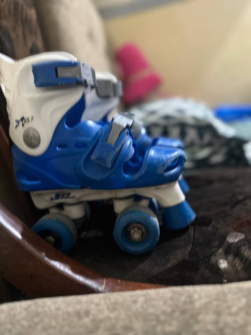skates 1