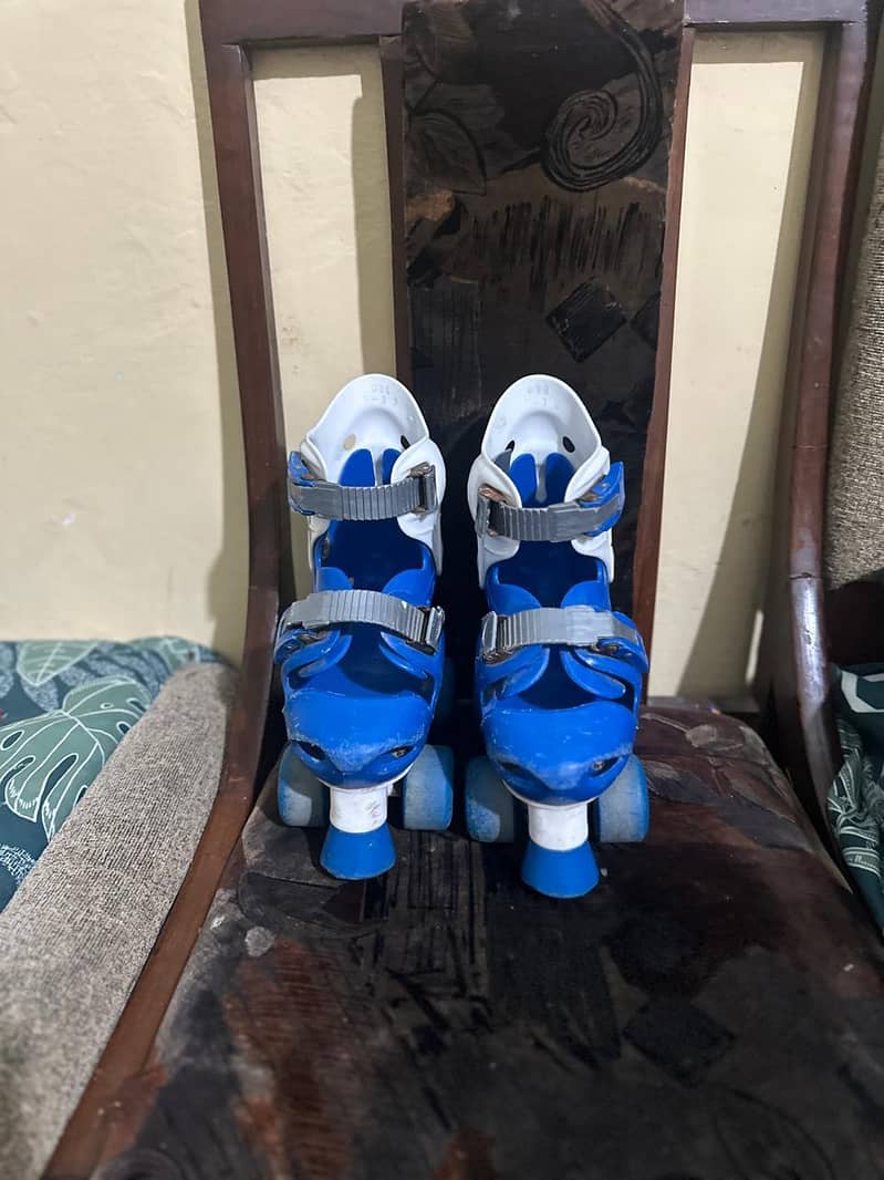 skates 3