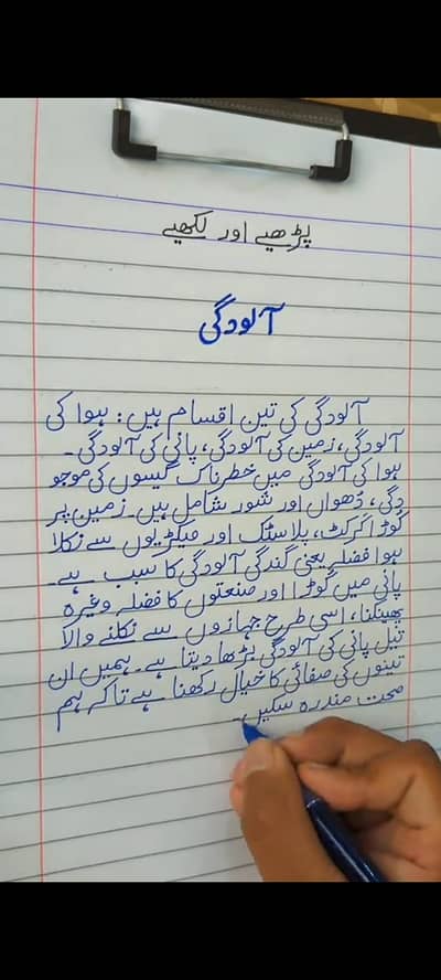 professional writer