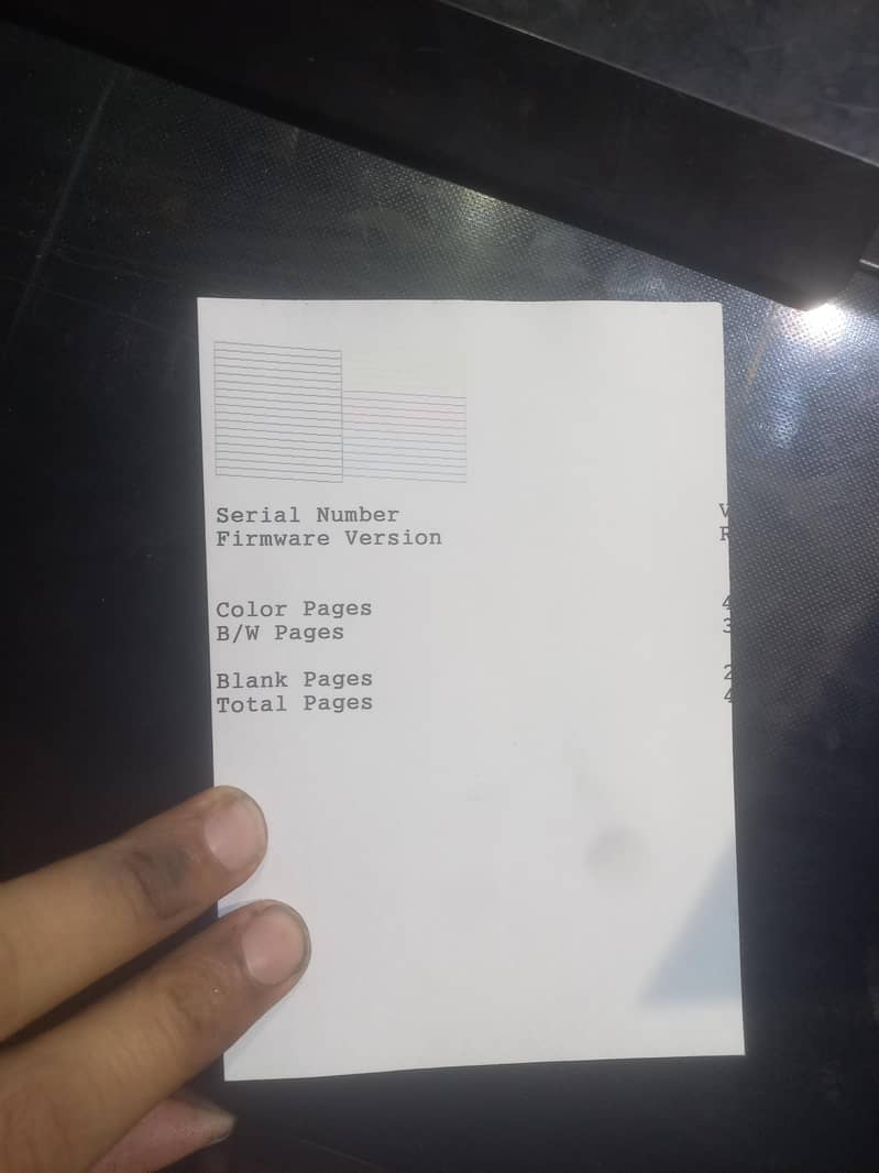 Epson L310 1